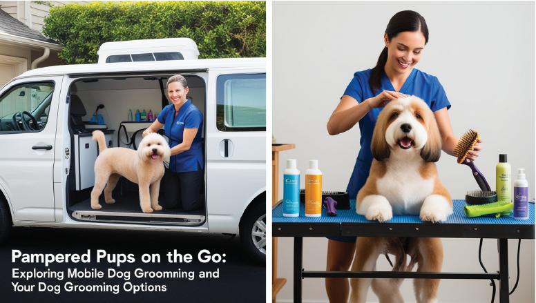 Dog Grooming